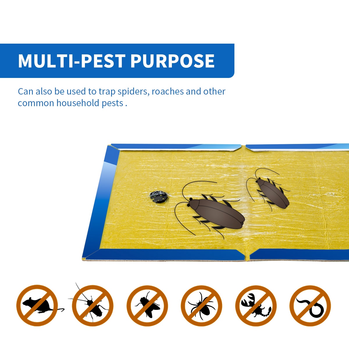 6 piege rat facile piege rat capture facile